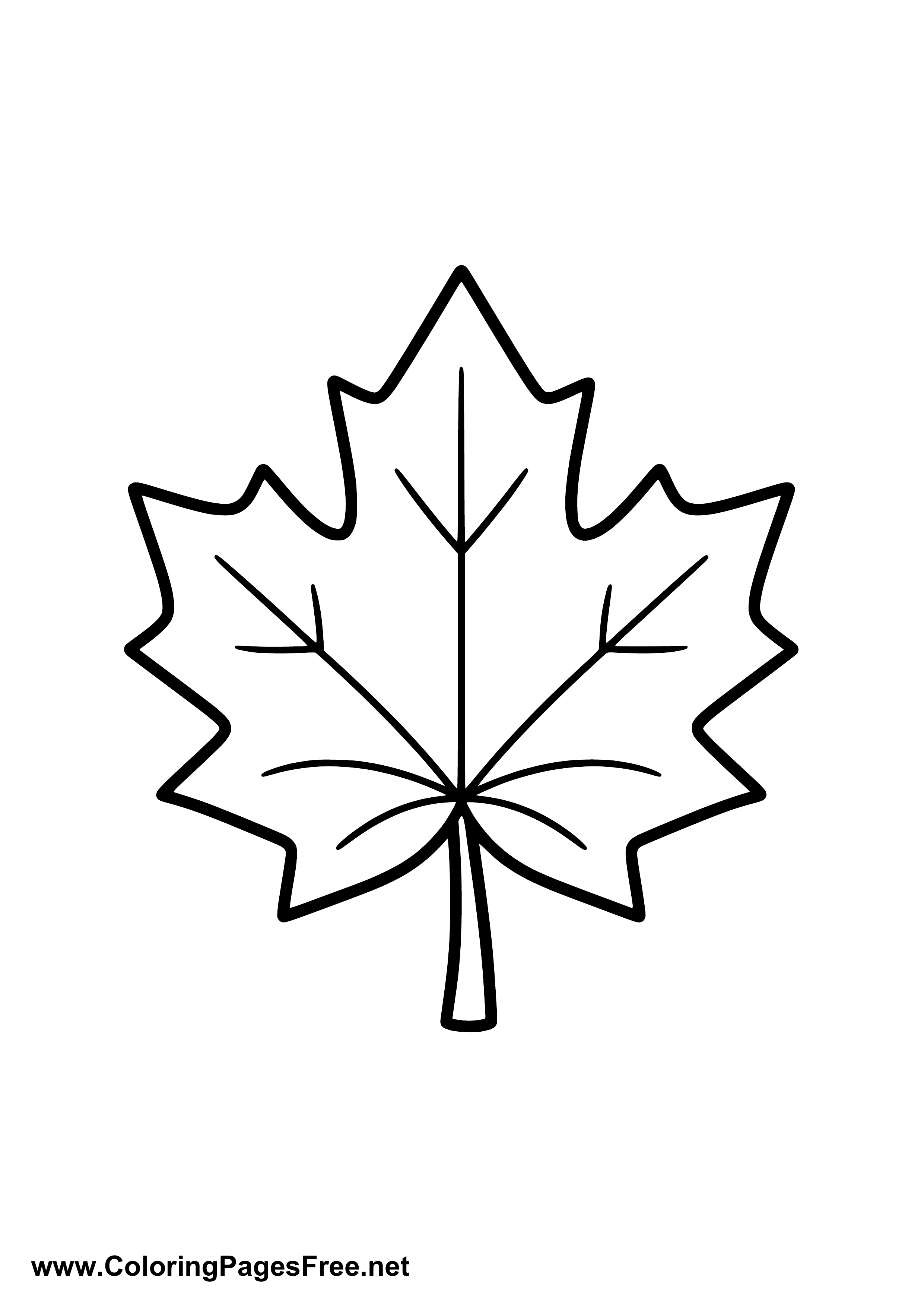 Maple Leaf Coloring Page to Print