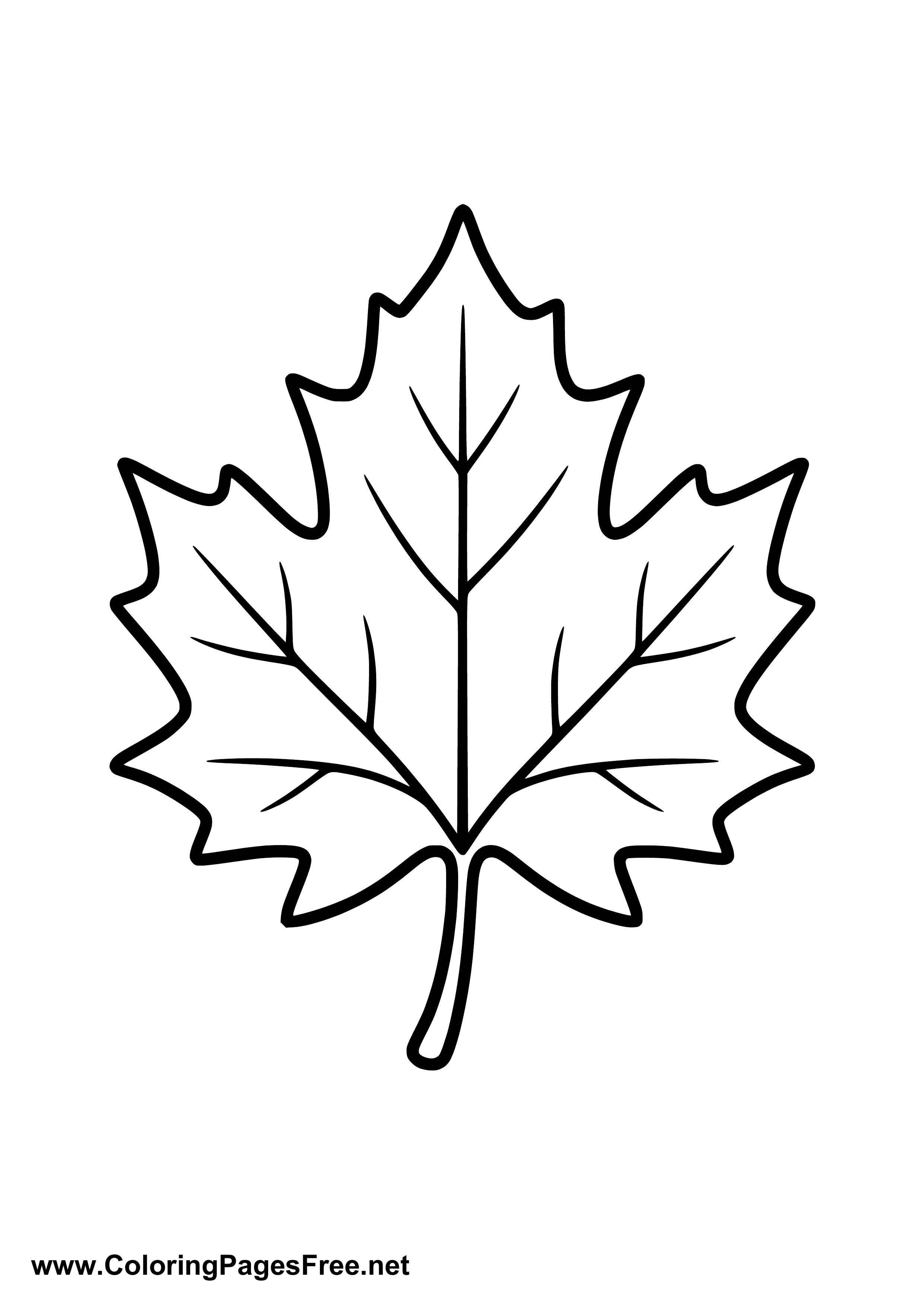 Maple Leaf Coloring Sheet to Print
