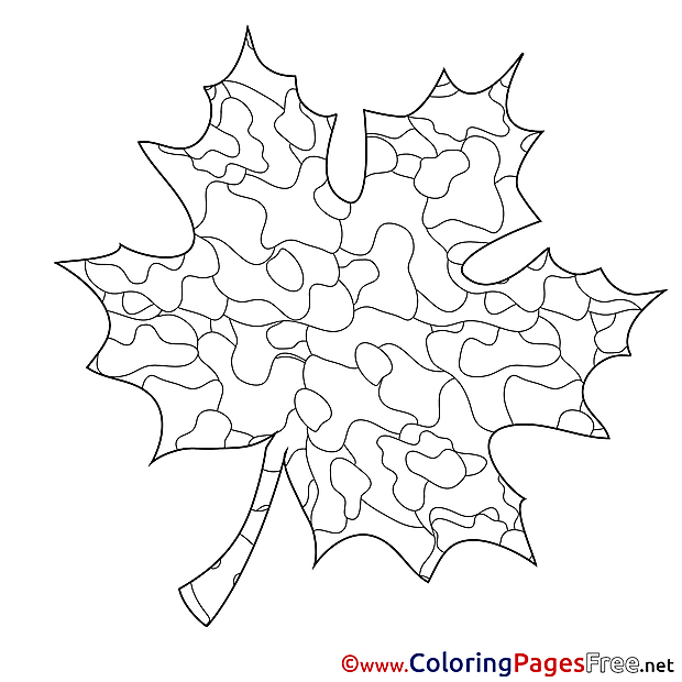 Maple Leaf for Children free Coloring Pages