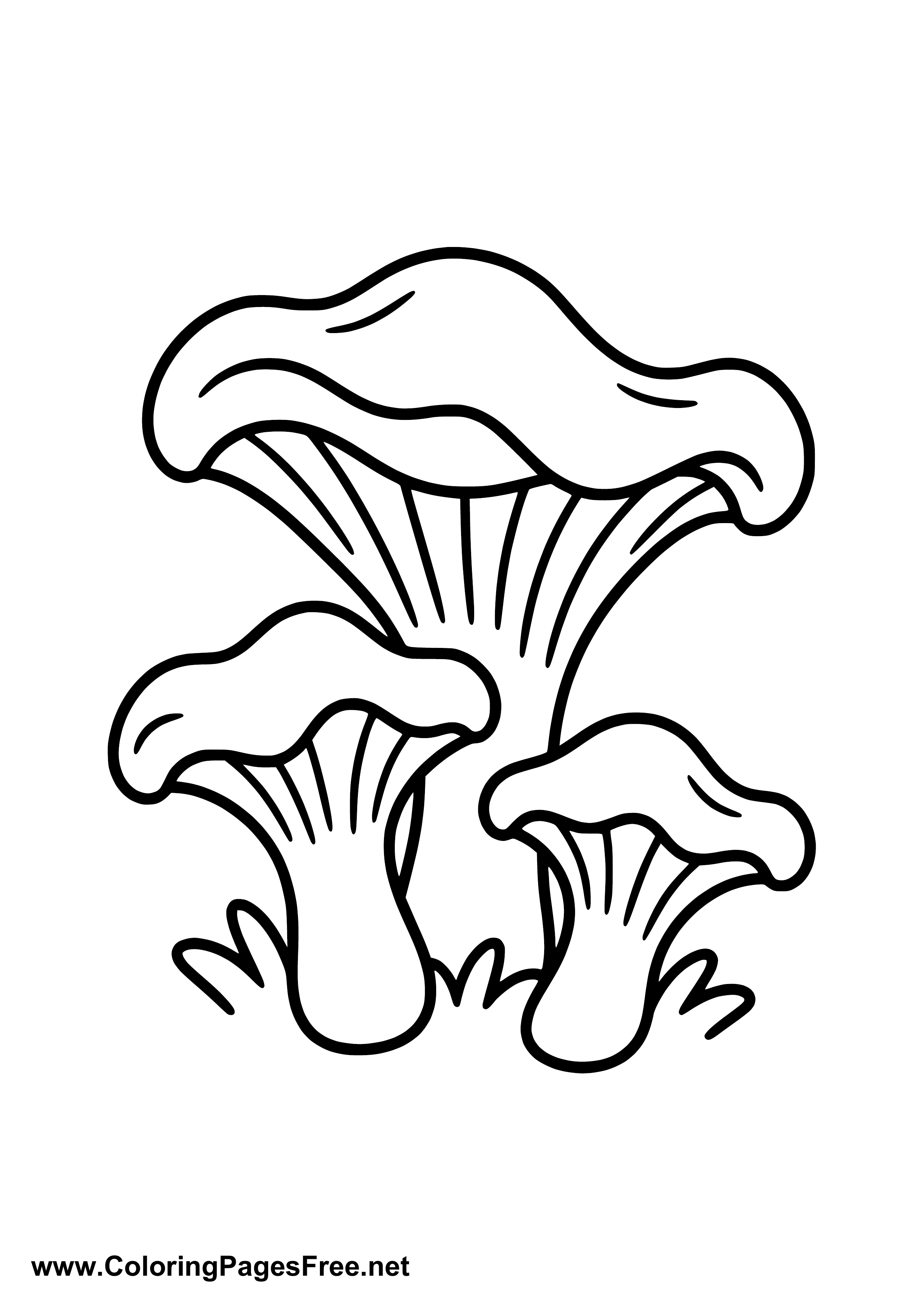 Mushroom Group Autumn Coloring Page