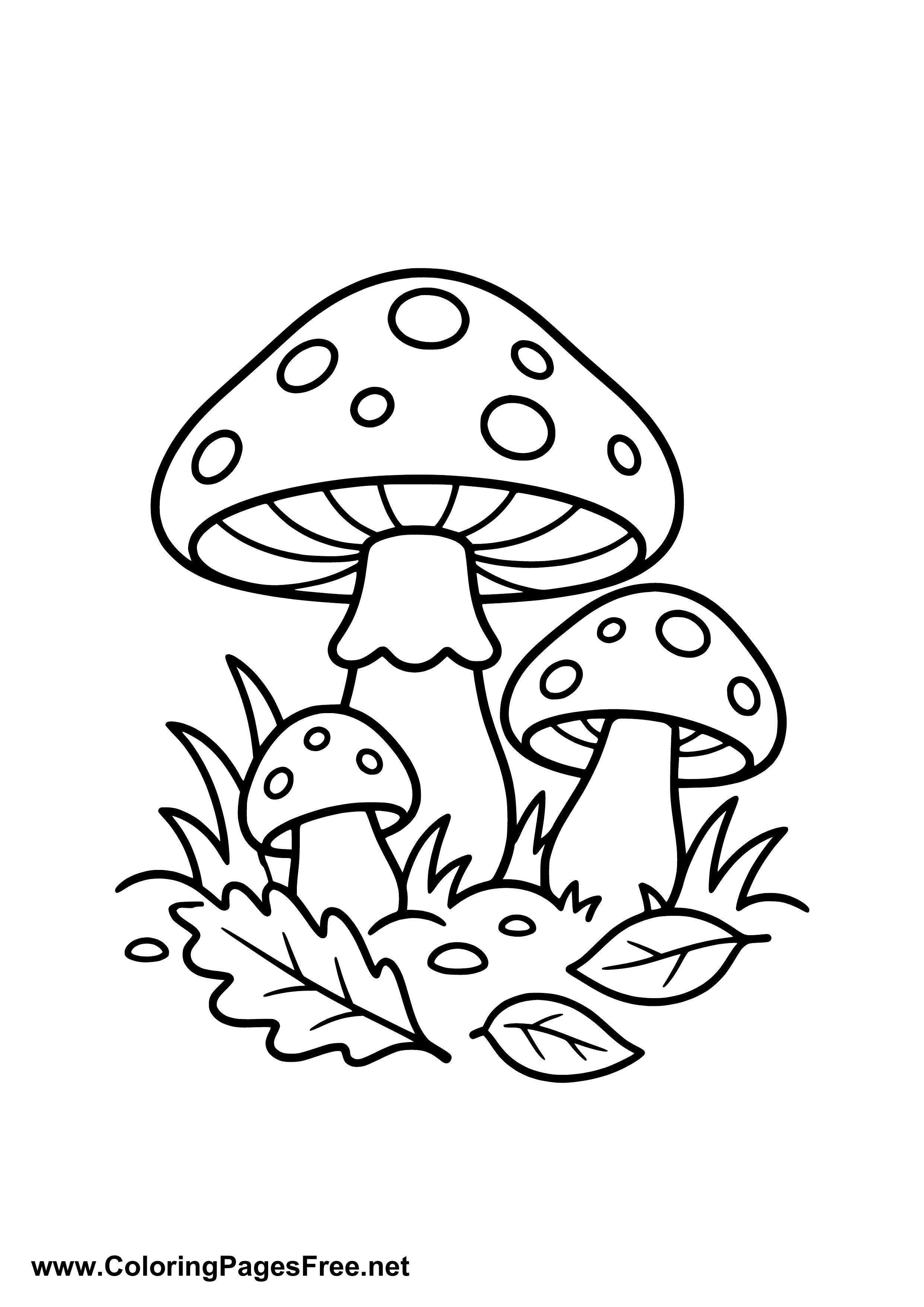 Mushrooms in the Autumn Forest Coloring Page