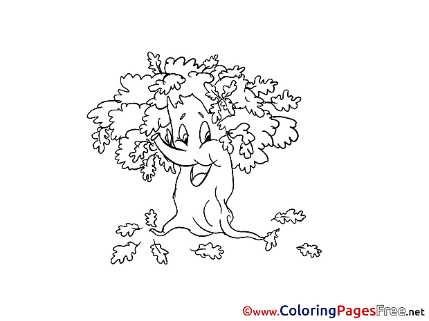 Oak Colouring Page printable free