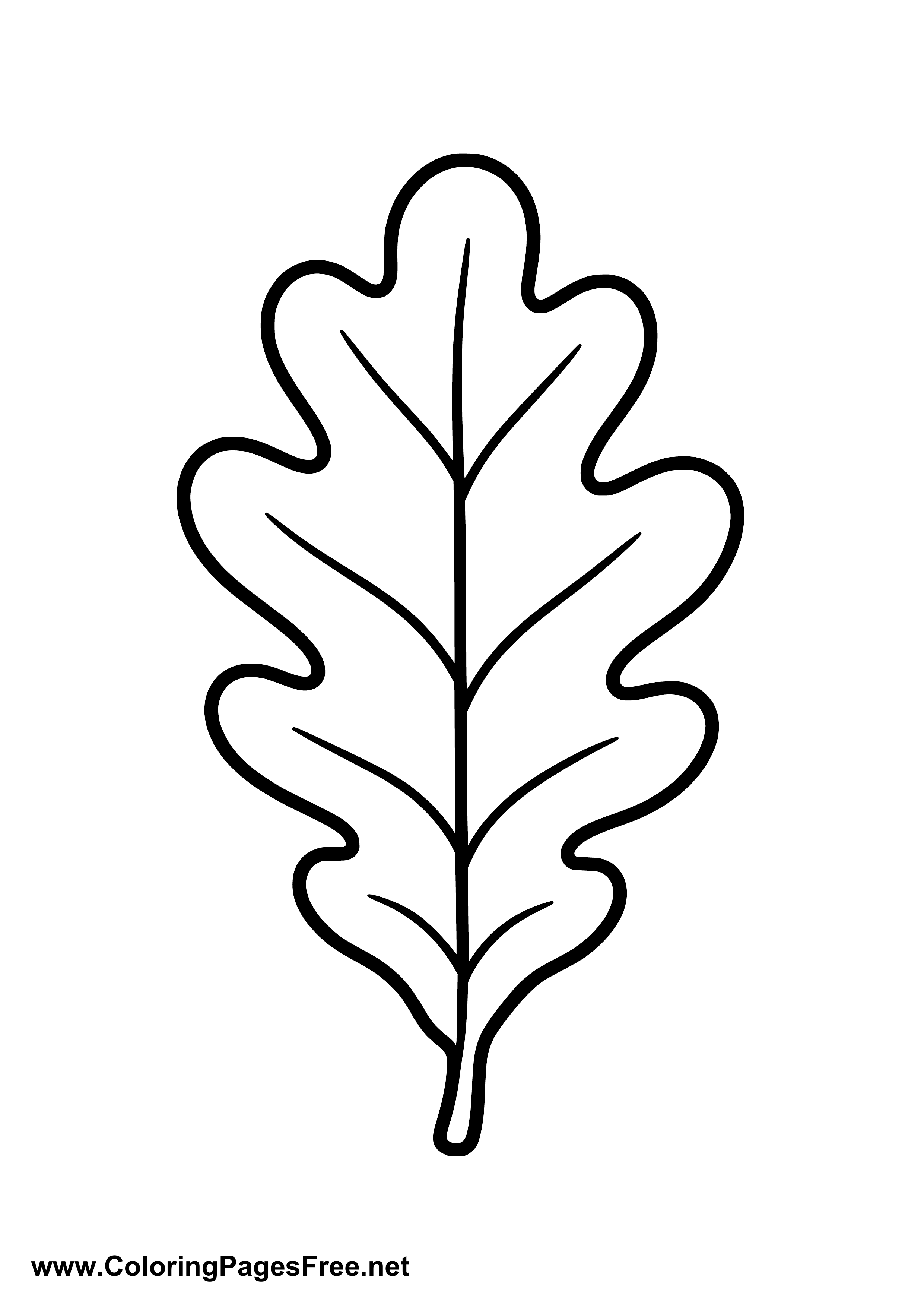 Oak Leaf Autumn Coloring Page