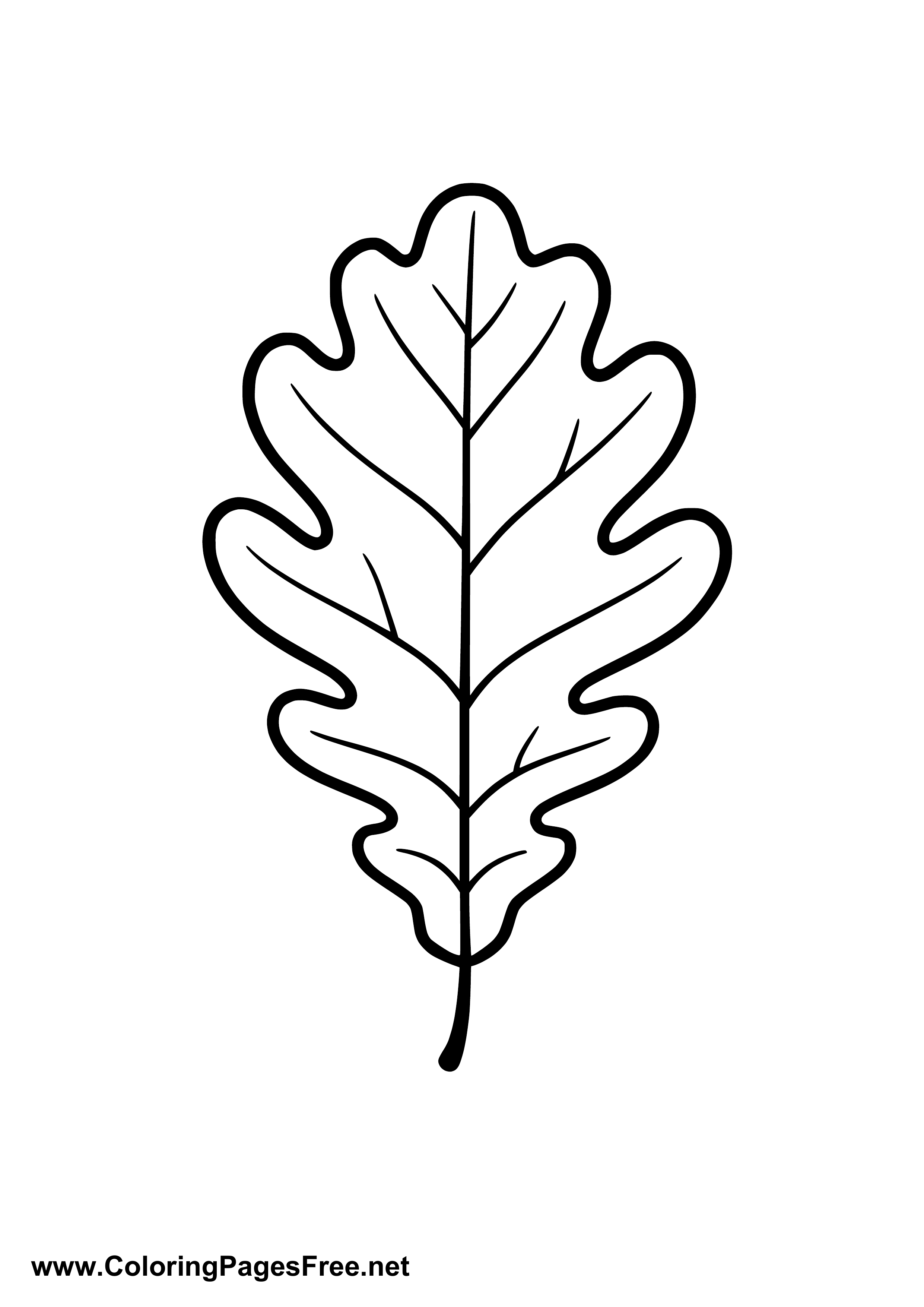 Oak Leaf Coloring Page for Kids