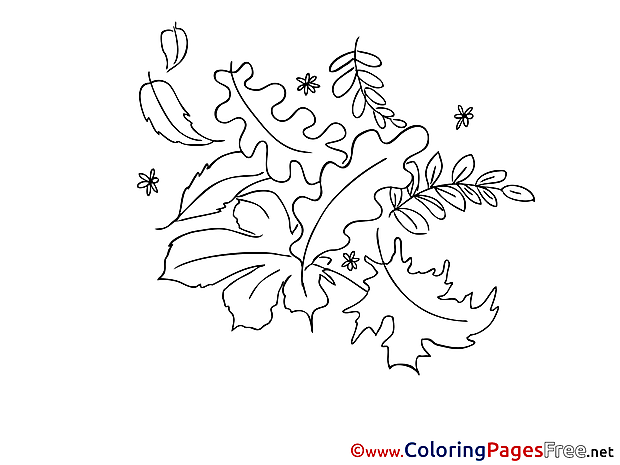 Oak leaf free Colouring Page download
