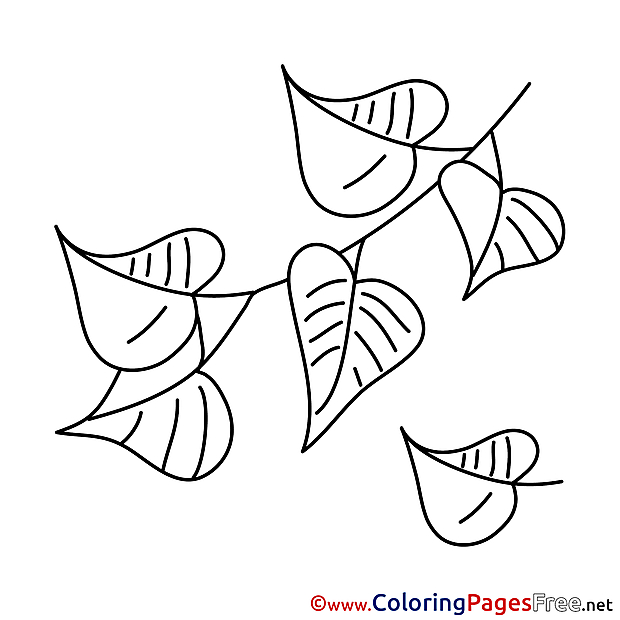 Picture Leaves Coloring Pages for free