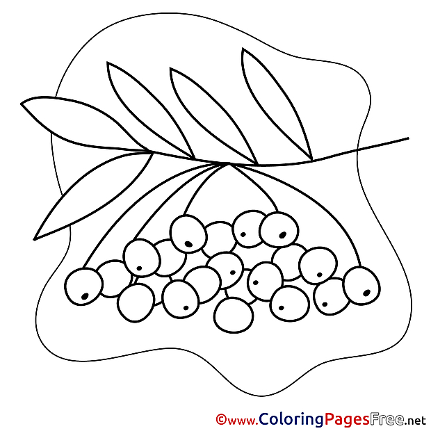 Rowan for Kids printable Colouring Page