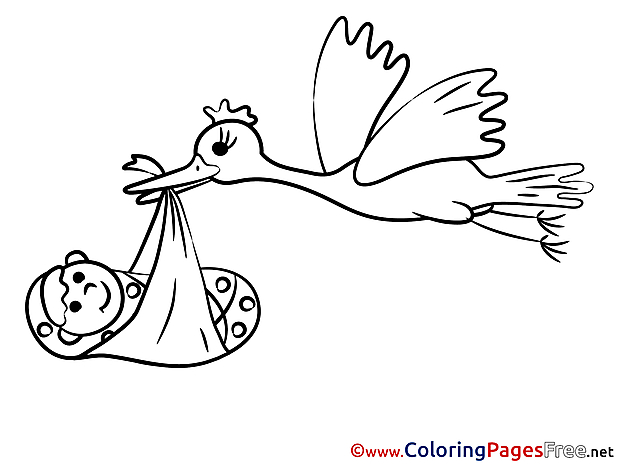 Bird Baby Colouring Page printable free