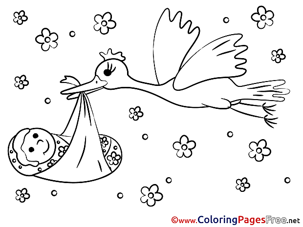 Bird Baby for Kids printable Colouring Page