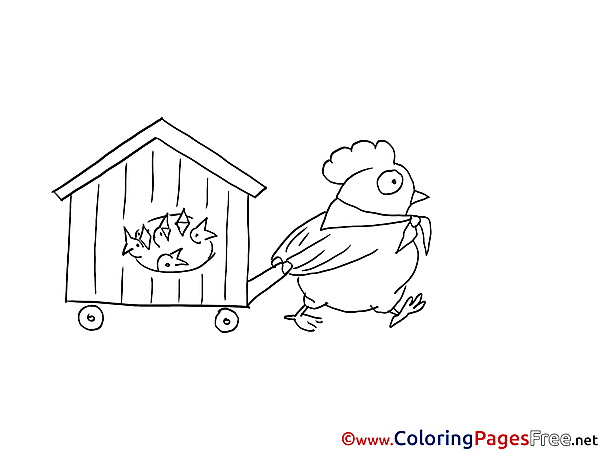 Chicken printable Coloring Sheets download