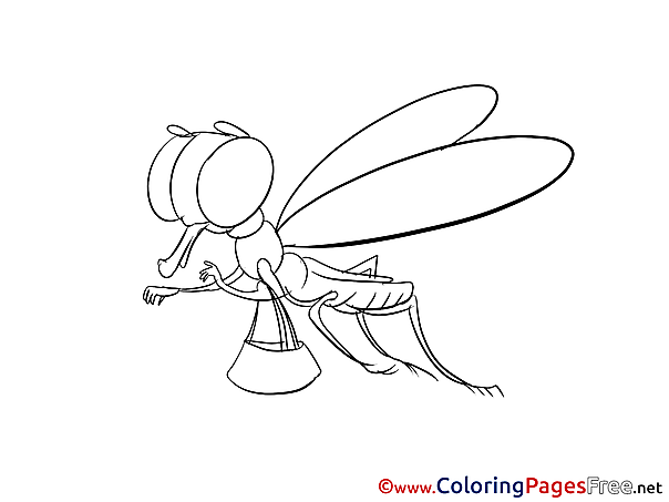 Dragonfly printable Coloring Sheets download