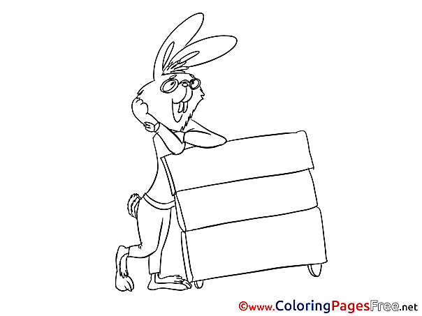 Rabbit Coloring Pages for free
