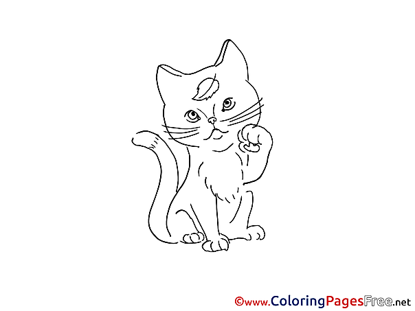 Cat free printable Coloring Sheets