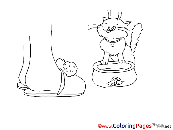 Coloring Pages for free Cat