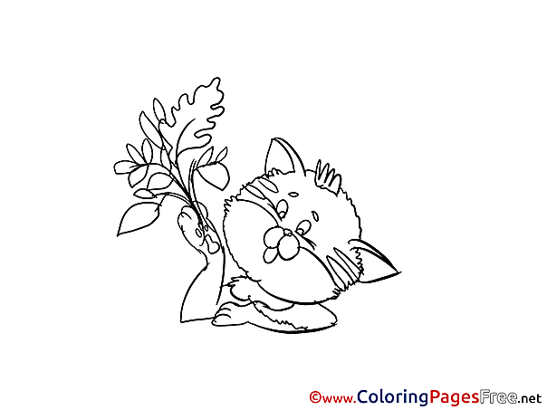 Flower Cat free Colouring Page download