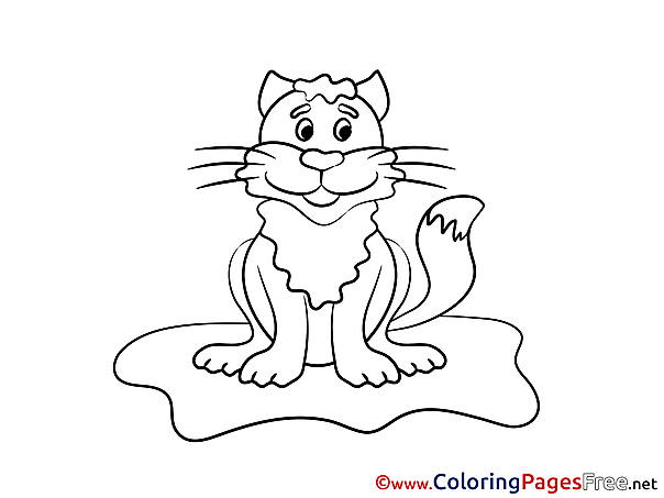 Happy Cat Colouring Sheet download free