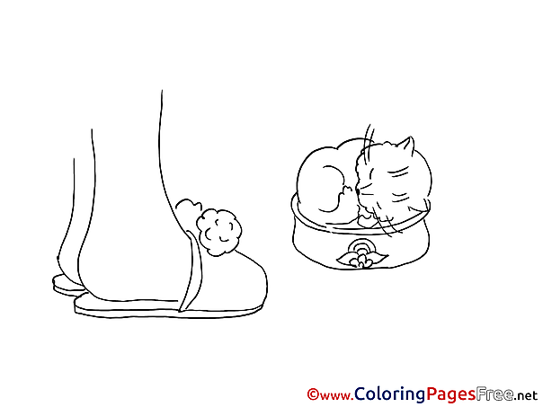 Printable Coloring Sheets Cat download