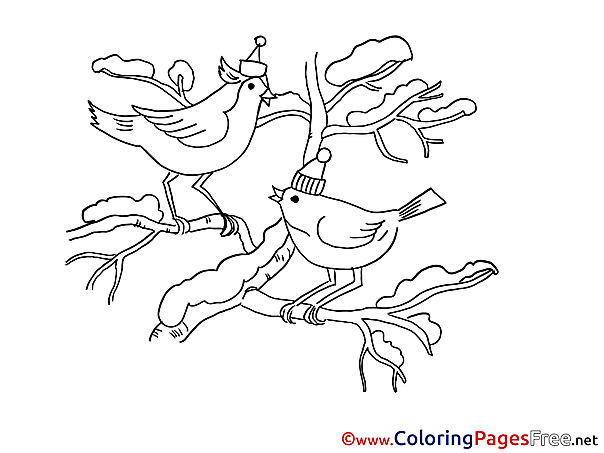 Birds Colouring Sheet download Christmas