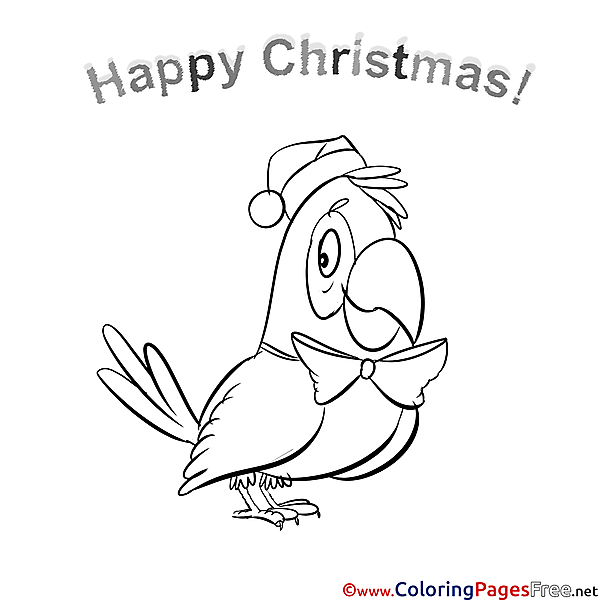 Parrot download Christmas Coloring Pages