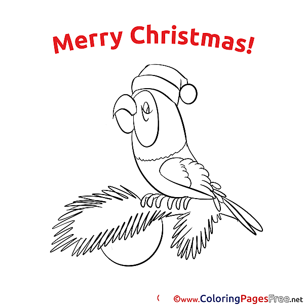 Parrot free Colouring Page Christmas