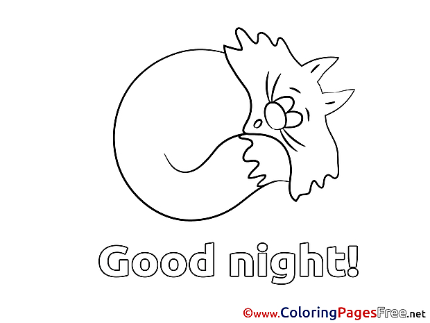 Cat free Colouring Page Good Night