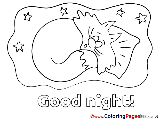 Drawing Cat Colouring Sheet download Good Night