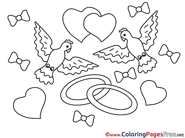 Pigeons Colouring Sheet download Love