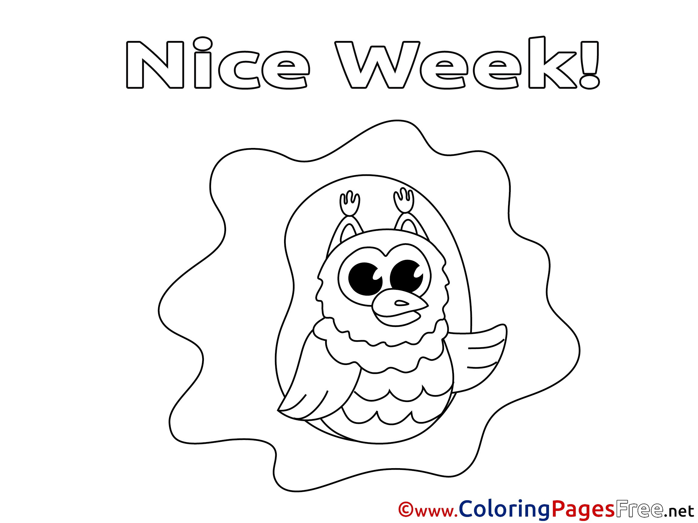 Owl Colouring Sheet download Nice Week