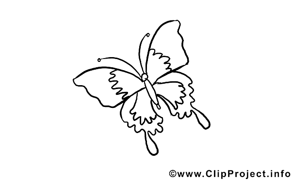 Butterfly download Colouring Sheet free