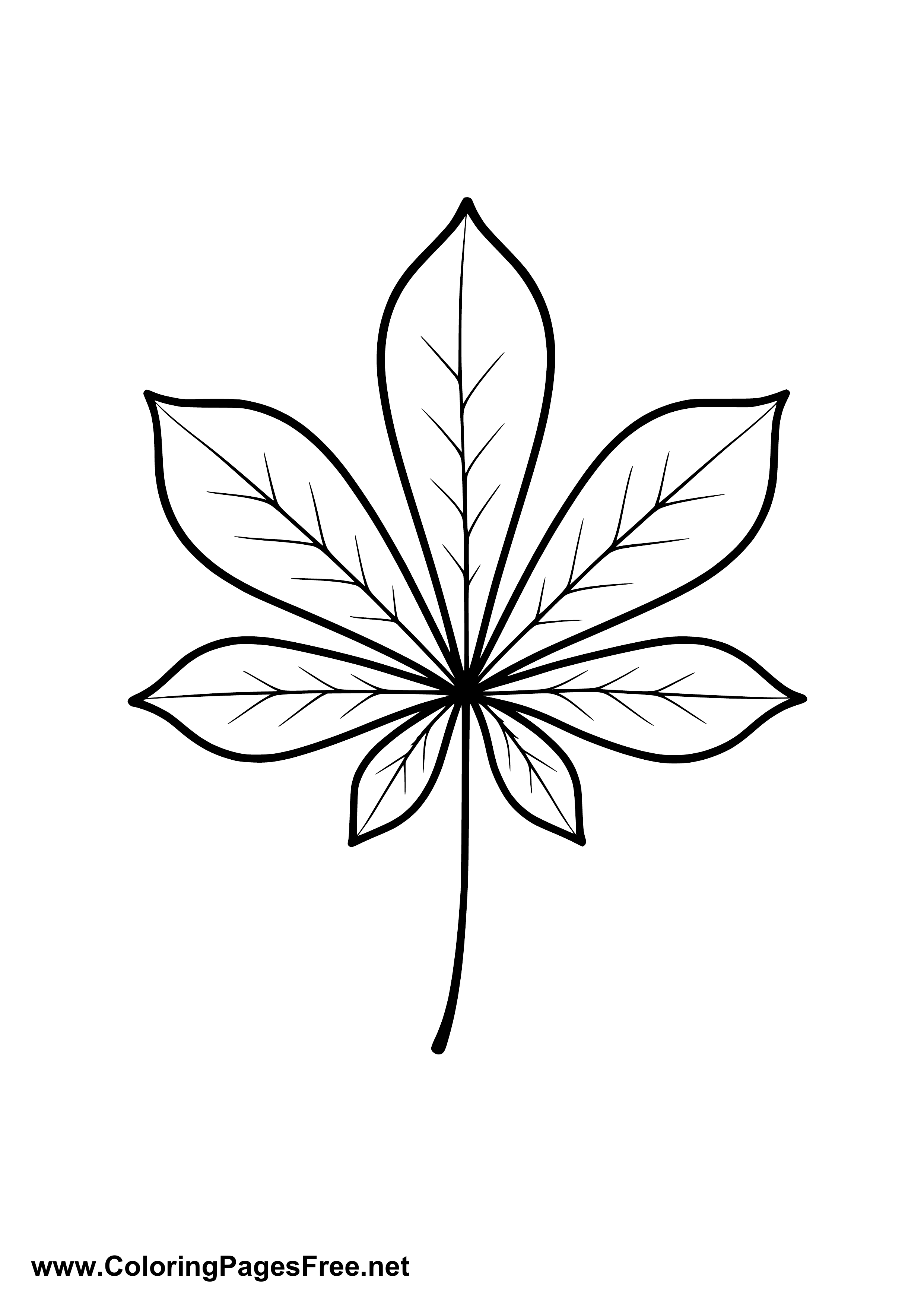 Chestnut Leaf Coloring Page Download as PDF