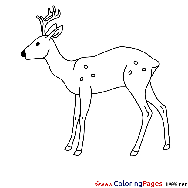Deer Colouring Page printable free