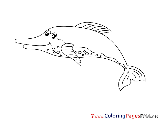 Dolphin Colouring Page printable free
