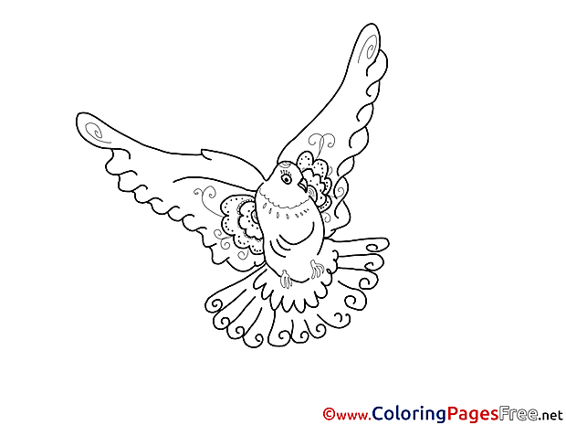 Dove free printable Coloring Sheets