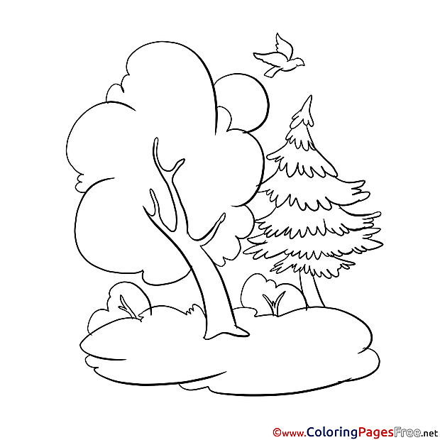 Forest for Kids printable Colouring Page
