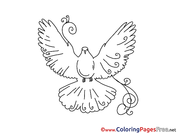 Pigeon Children download Colouring Page