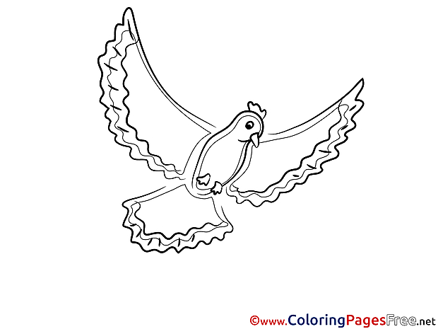Pigeon printable Coloring Sheets download