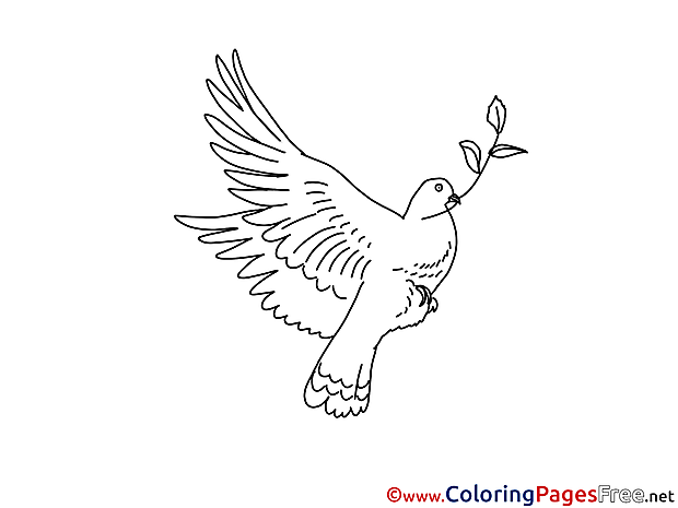 Pigeon with Olive download Colouring Sheet free