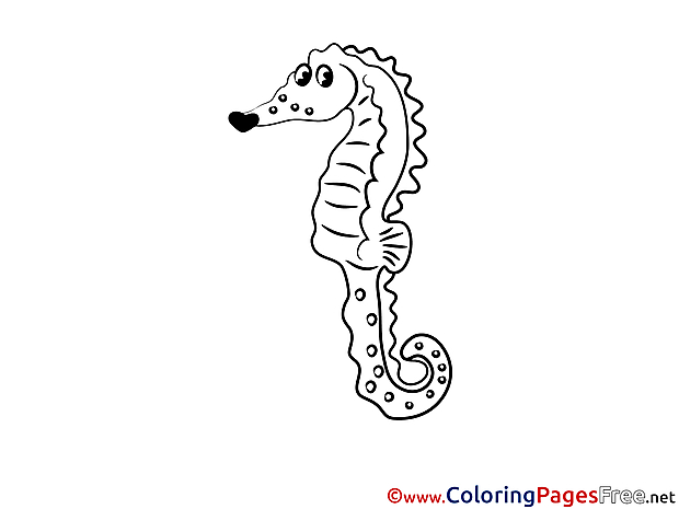 Sea Horse for free Coloring Pages download