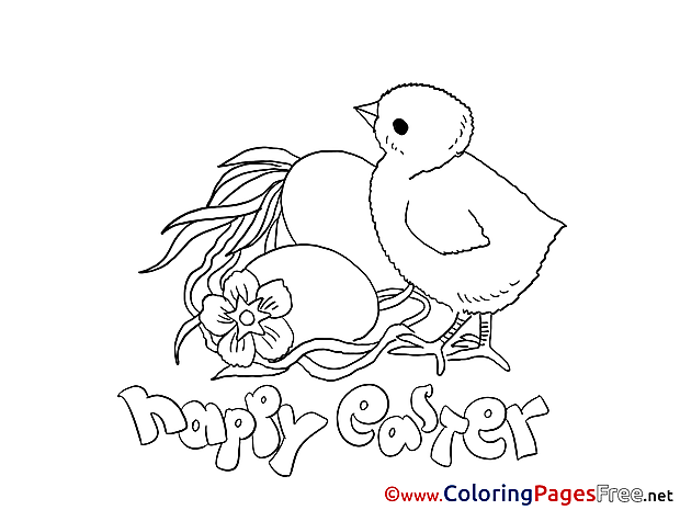 Chicken with Eggs Coloring Sheets Easter free