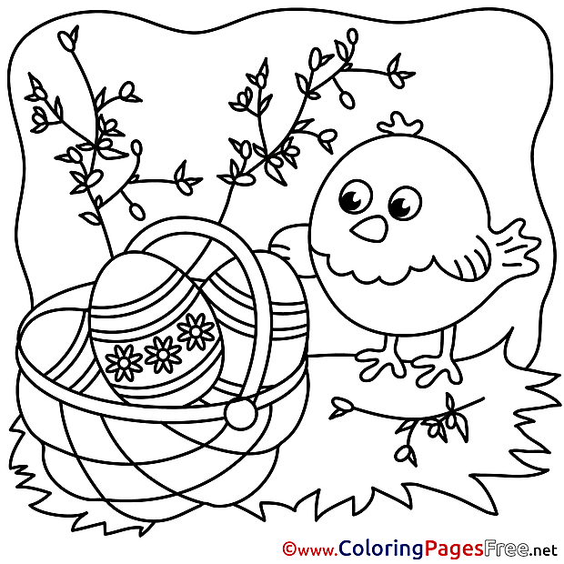 For Kids Easter Chicken Colouring Page