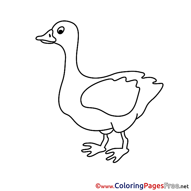 Goose for Kids Easter Colouring Page