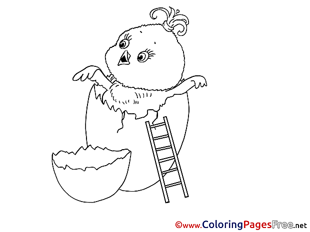 Ladder Chicken Colouring Page Easter free