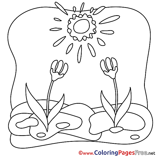 Tulips Colouring Sheet download Easter