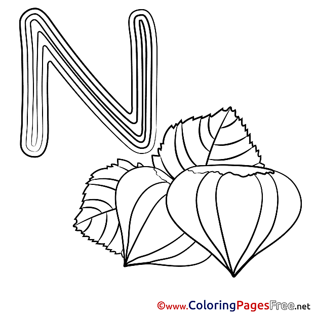 Nut printable Coloring Pages Alphabet