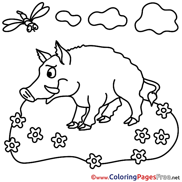 Boar for Kids printable Colouring Page