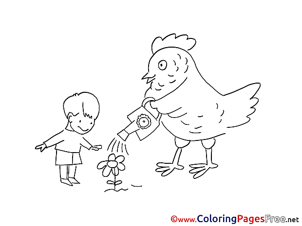 Boy Flower Chicken free Colouring Page download 