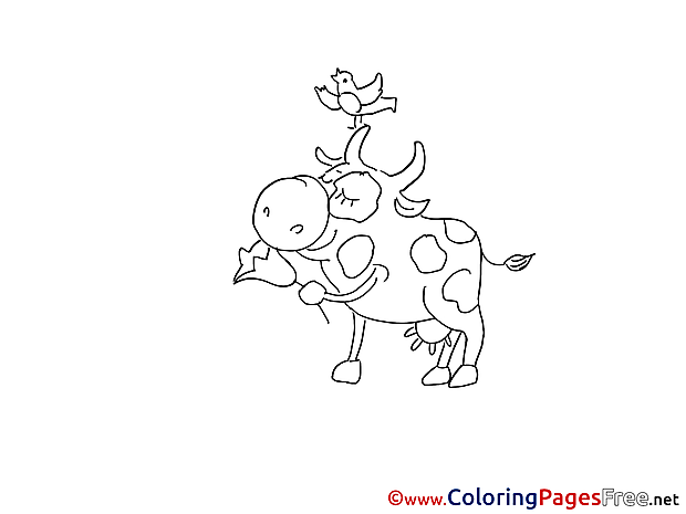 Bull for free Coloring Pages download
