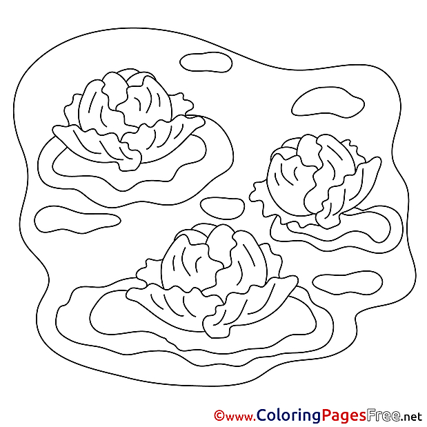 Cabbage free Colouring Page download