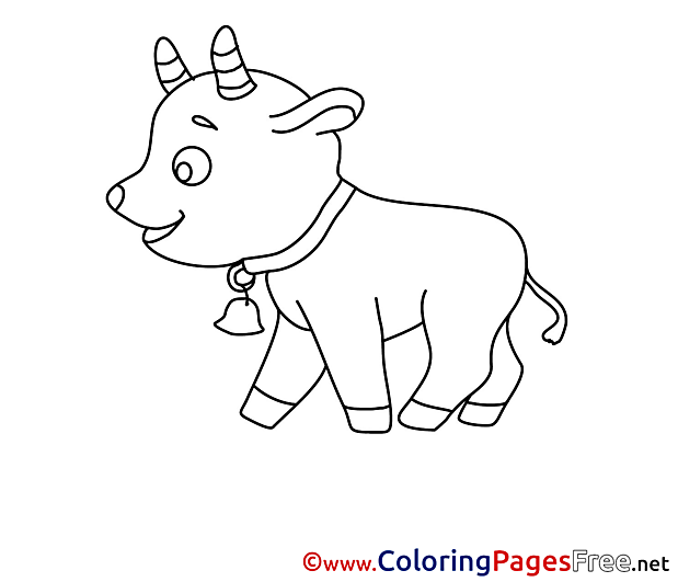 Calf Kids free Coloring Page