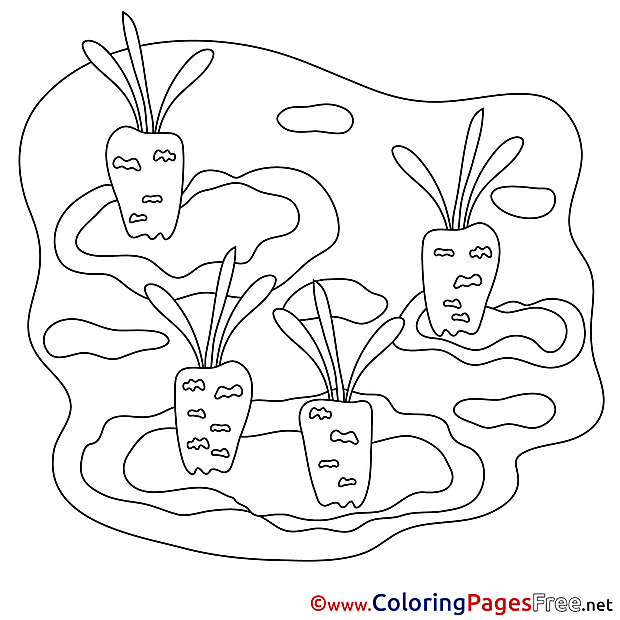 Carrots Children download Colouring Page